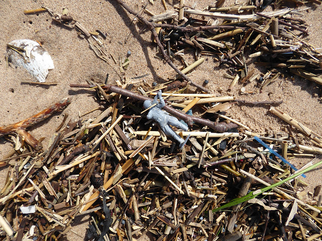 Debris on Dawlish Warren Beach close up
