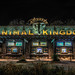 Animal Kingdom | Walt Disney World Resort