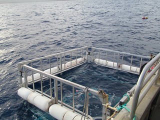 Shark diving cage