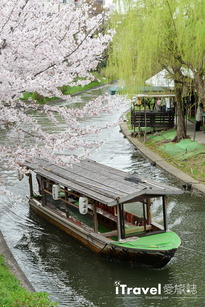 Места для наблюдения за цветением сакуры в Киото Каменная лодка Fushimi Ten (7)