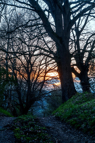 asturias latores camino atardecer sunset path nature