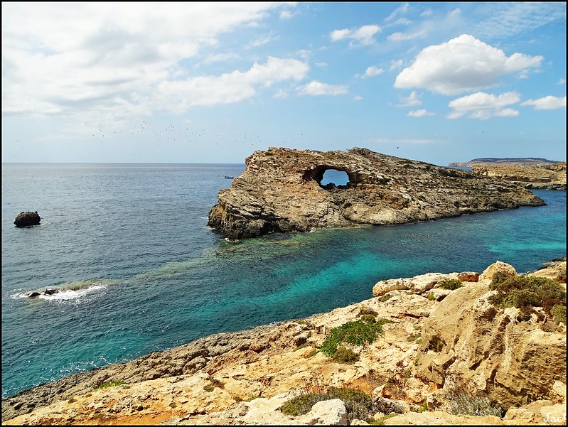 7º Día: Isla de Comino y Blue Lagoon - 7 días en Malta - Verano 2017 (12)