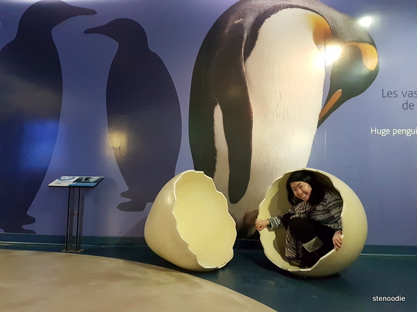  Montreal Biodome penguin egg