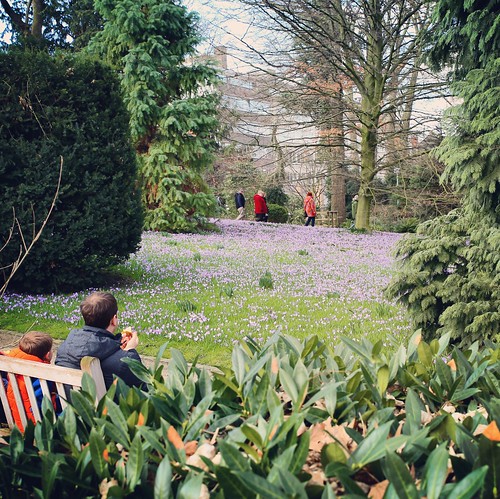 Early spring in the botanical garden of Leuven