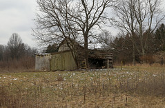 Park Log House (?) — Blendon Township, Franklin County, Ohio
