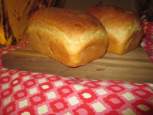Soft white sandwich bread