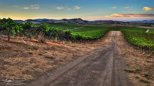 wine vineyards napa landscape hdr