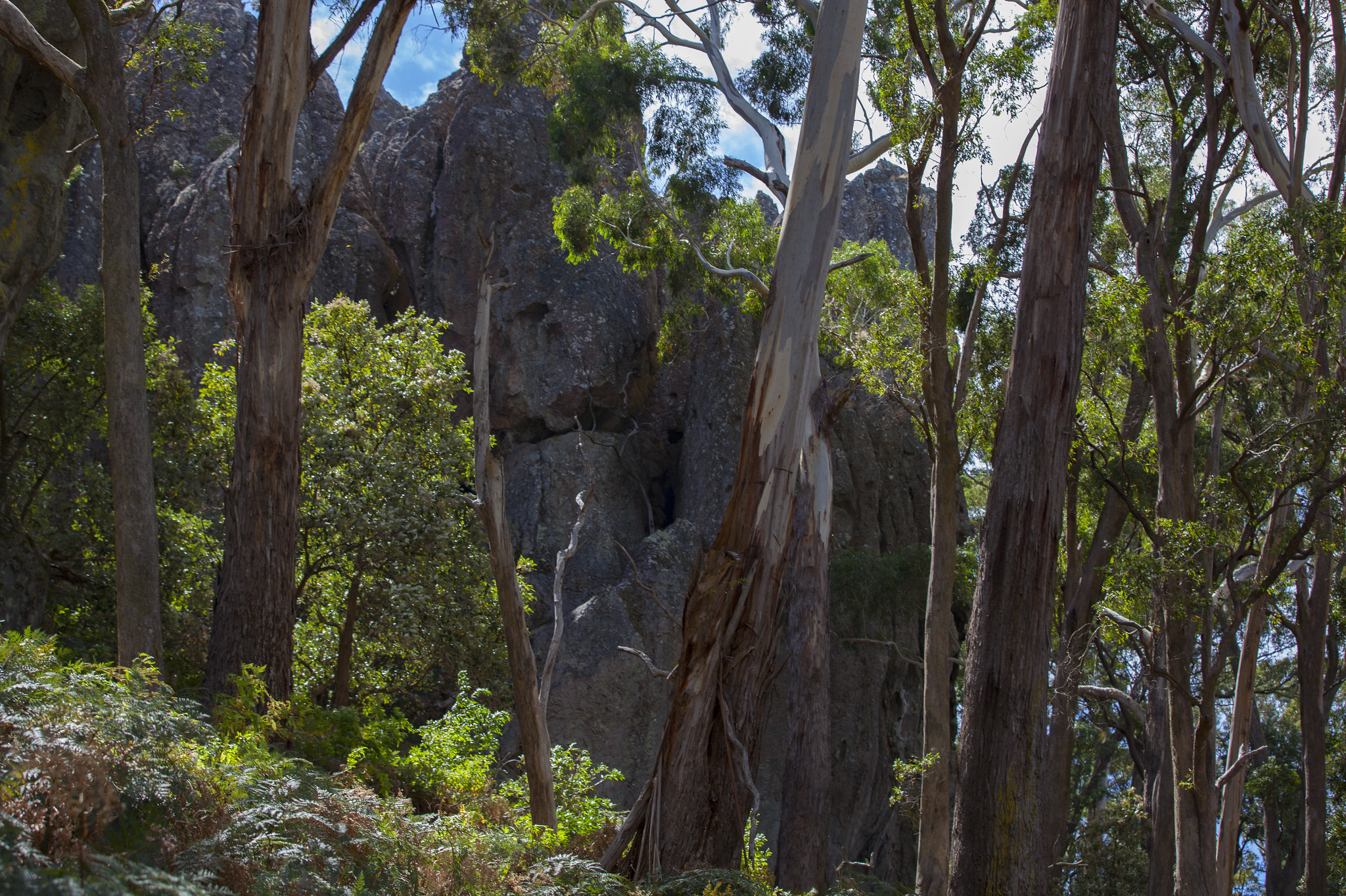 Hanging Rocks Возле Мельбурна