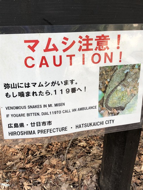 Japanese viper signs