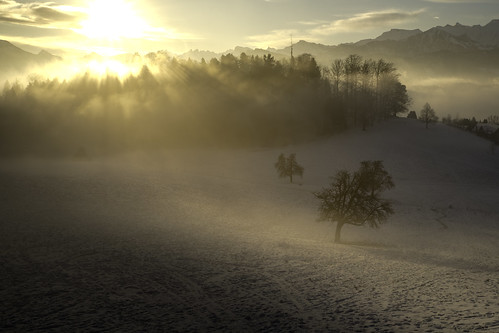 sonnenberg kriens morning sunrise sun snow trees light wonderful home