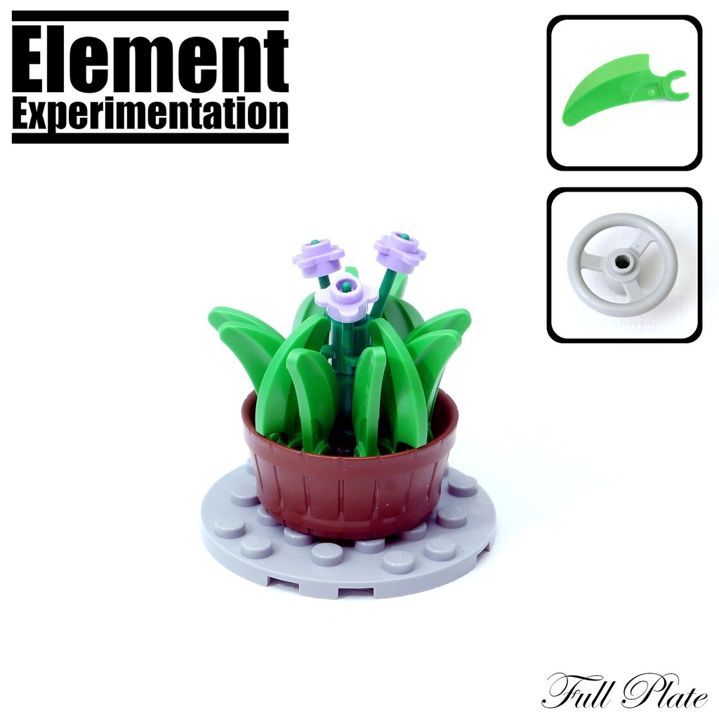 Element Experimentation: Flower in a Barrel