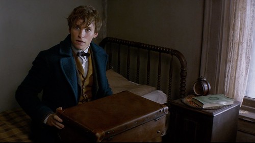 Fantastic Beasts and Where to Find Them - Screenshot 6