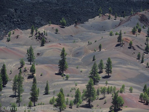The Painted Dunes from the Cinder Cone in Lassen Volcanic National Park, California