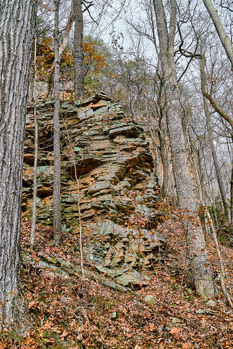 comfort dennycove hiking nature sequatchie sonya6500 sonyimages southcumberlandstatepark tnstateparks tennessee usa unitedstates outdoors exif:isospeed=400 exif:aperture=ƒ80 exif:lens=epz18105mmf4goss exif:make=sony geo:lon=8567370044 geo:country=unitedstates exif:focallength=18mm geo:state=tennessee geo:lat=3515287761 geo:location=comfort geo:city=sequatchie camera:make=sony camera:model=ilce6500 exif:model=ilce6500