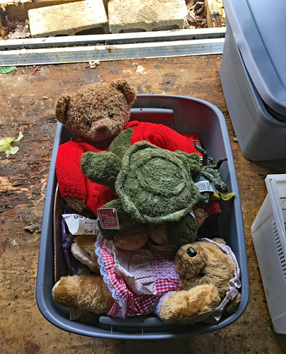 bkhagar rescue turtle bear bears teddybears storage sale estatesale gund