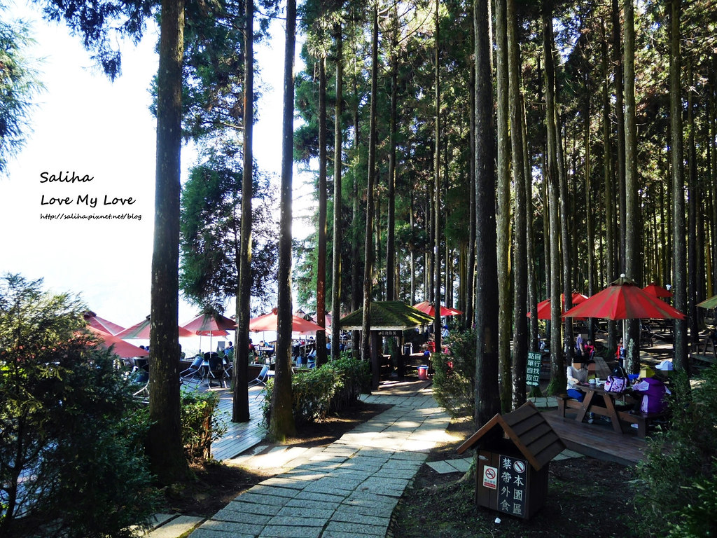 新竹一日遊必玩景點推薦山上人家景觀餐廳森林咖啡館 (11)