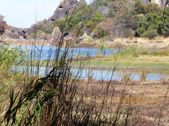 POR ZIMBABWE Y BOTSWANA, DE NOVATOS EN EL AFRICA AUSTRAL - Blogs de Africa Sur - Explorando el Parque Nacional de Matobo (28)