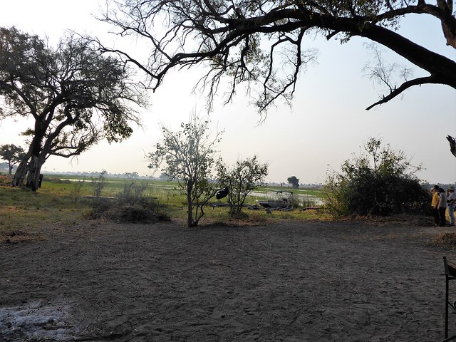 POR ZIMBABWE Y BOTSWANA, DE NOVATOS EN EL AFRICA AUSTRAL - Blogs de Africa Sur - Traslado a Maun. Nos adentramos en el Delta del Okavango (44)