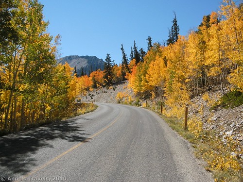 Fall colors in Great Basin National Park, Nevada