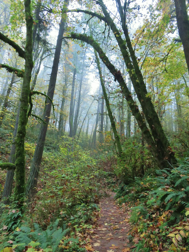 Wildwood Trail