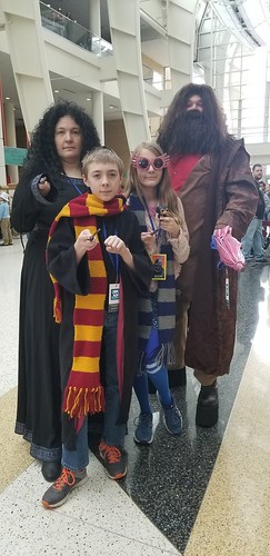 Wizarding World of Harry Potter represented! From Unique Cosplays at Grand Rapids Comic Con