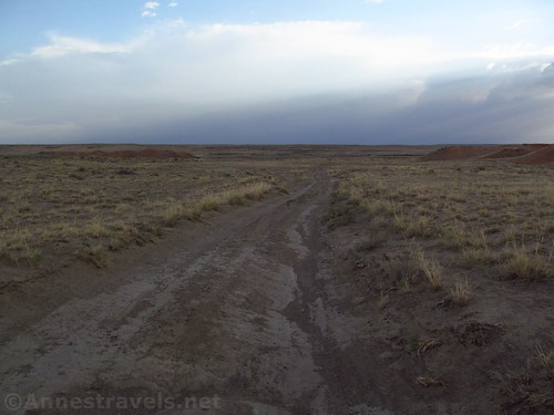 Walking down the remains of the road to the Valley of Dreams East, Ah-Shi-Sle-Pah Wilderness, New Mexico