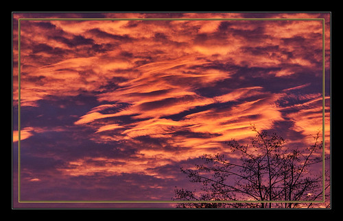 landscape sunrise sky cloud redcloud tree sunlight