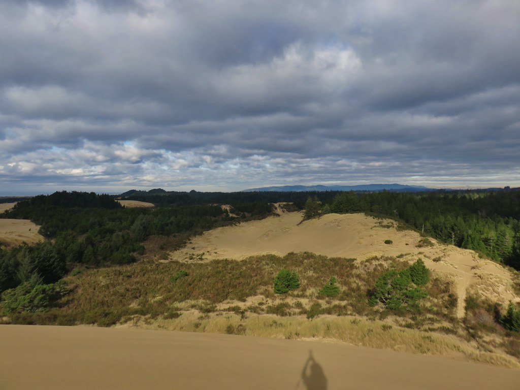 View from the tallest dune in Jessie M. Honeyman State Park