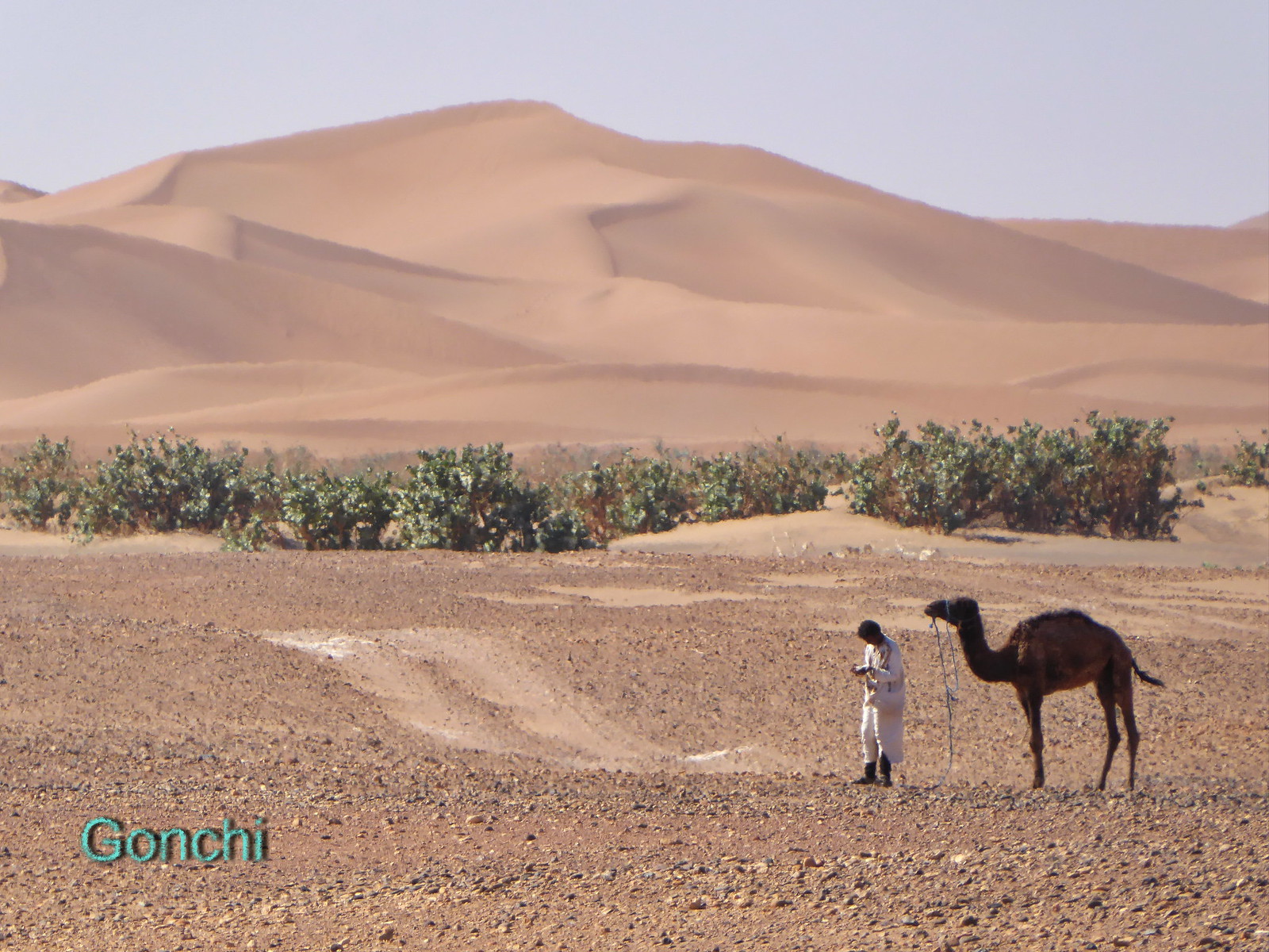 MARRUECOS SORPRENDE - Blogs de Marruecos - Del desierto a la montaña, de Erg Chegaga a Tinghir (1)