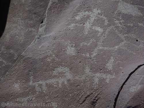 More goats and other petroglyphs at Nampaweap in Grand Canyon-Parashant National Monument, Arizona