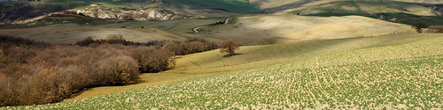 valdorcia landscape panorama nature hills trees tuscany colline fields agriculture countryside outside