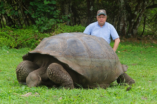 21-323 Reuzenschildpadden bij boerderij met Gé