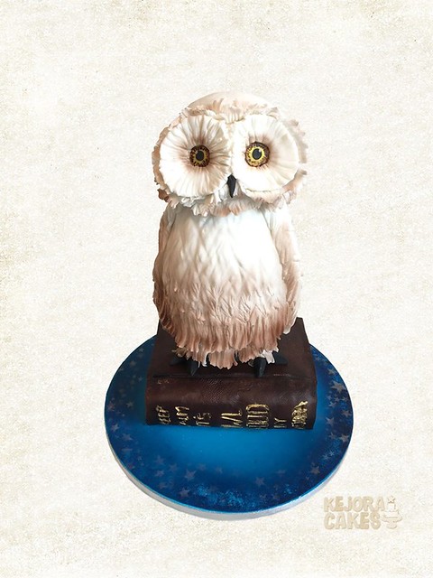 Owl Cake by Kejora Cakes
