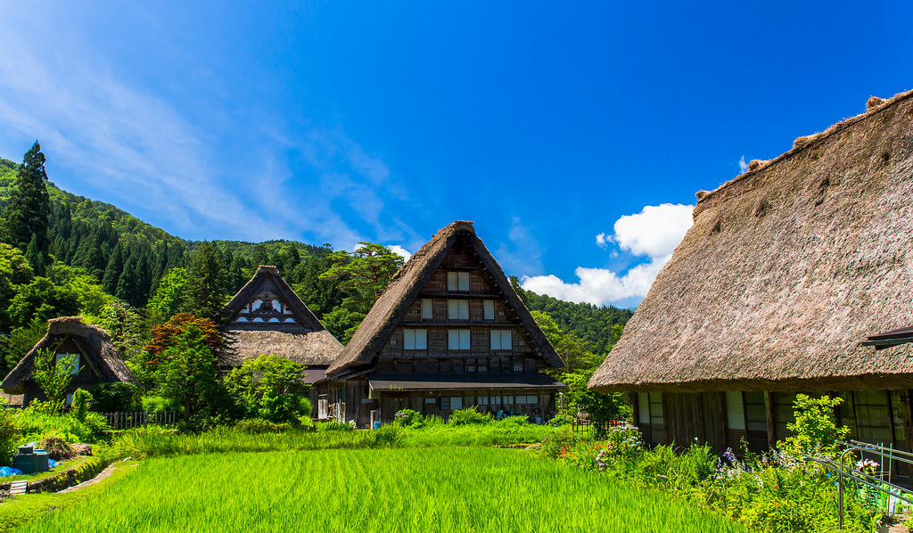 Maisons de chaume typique appelées gassho-zukuri, région de Gokayama