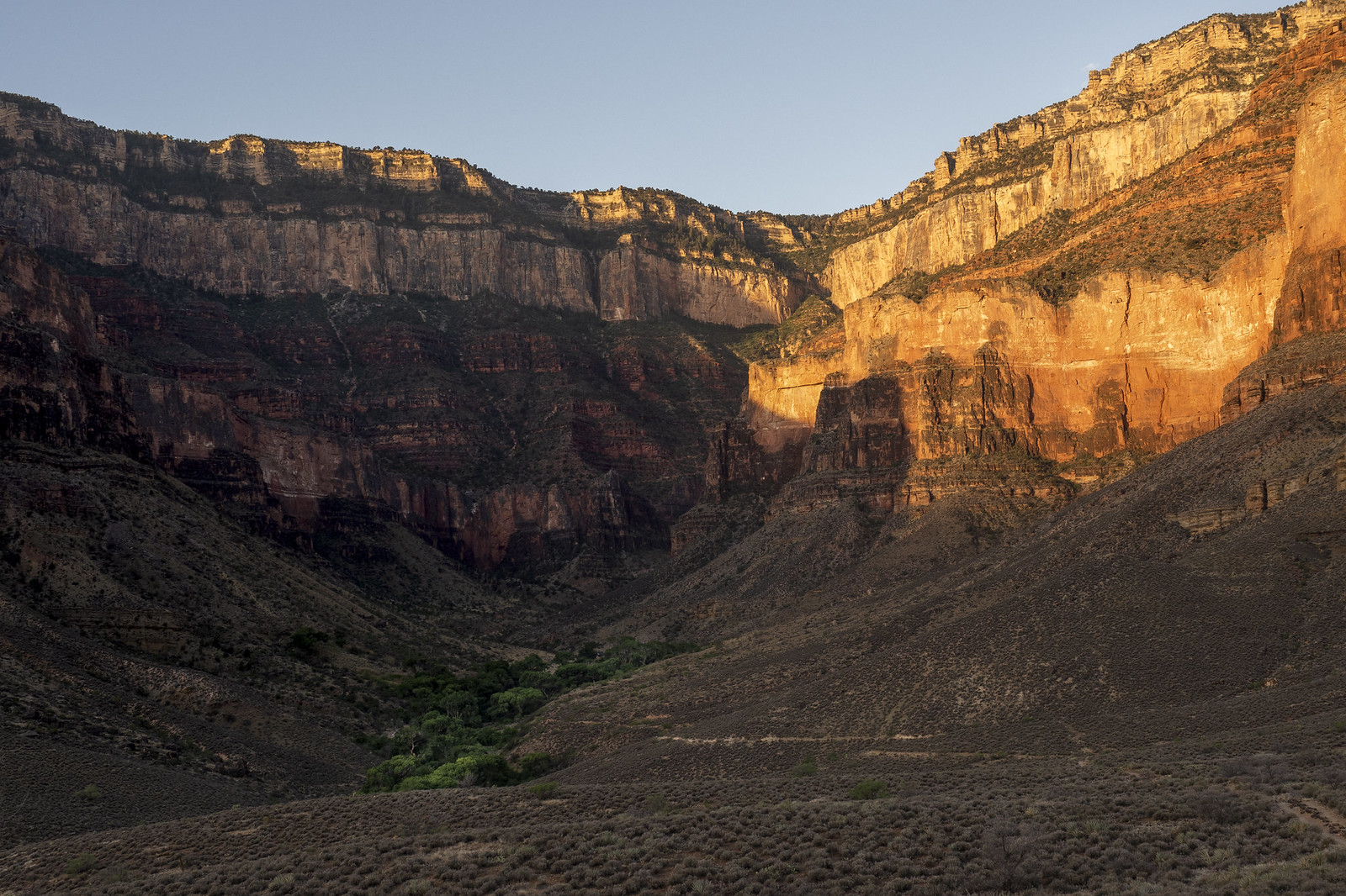 Sunrise in the Canyon