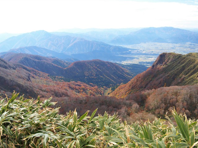 181103 経ヶ岳 (36)