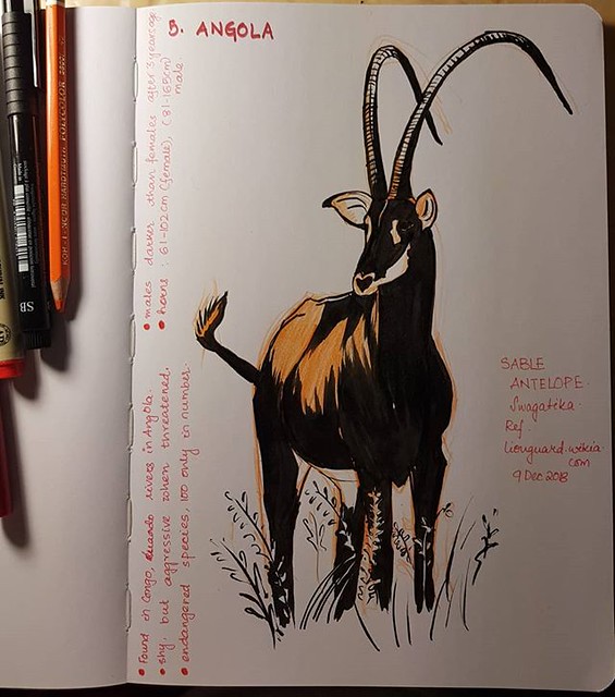 #sableantelope #nationalanimal of #angola .With only 100 numbers, they are an endangered species. #angola #antelopes #nationalanimals #animalsketch ref. Lionguard.Wikia.com
