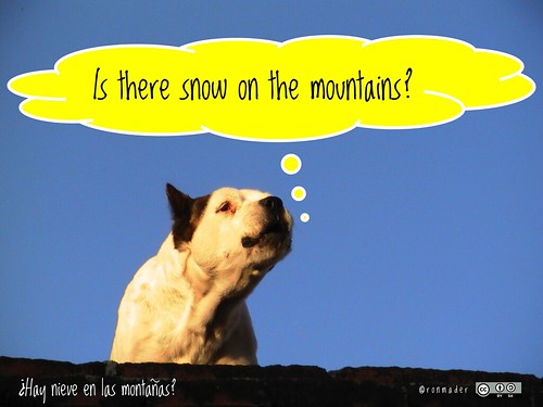 Is there snow on the mountains? #roofdog