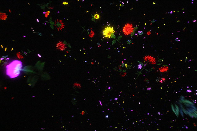 Floating in the Falling Universe of Flowers (teamLab Planets TOKYO)