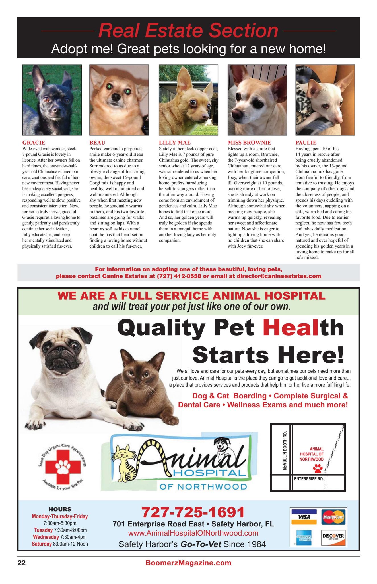 Boomerz Magazine 2018 November Real Estate Section Adopt me pets looking for a new home