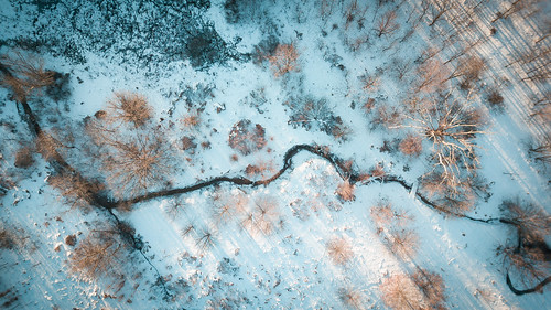 drone snow stream sunrise trees shadows dji mavicpro