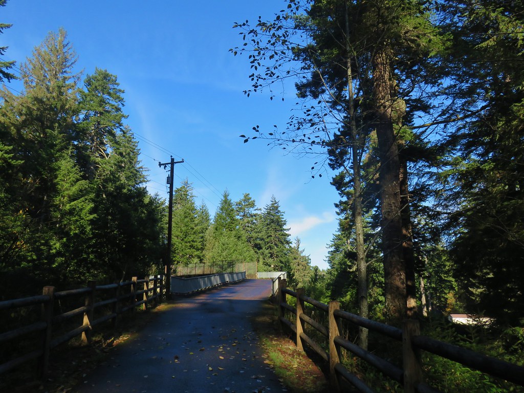 Path over Highway 101 in Jesse M. Honeyman State Park
