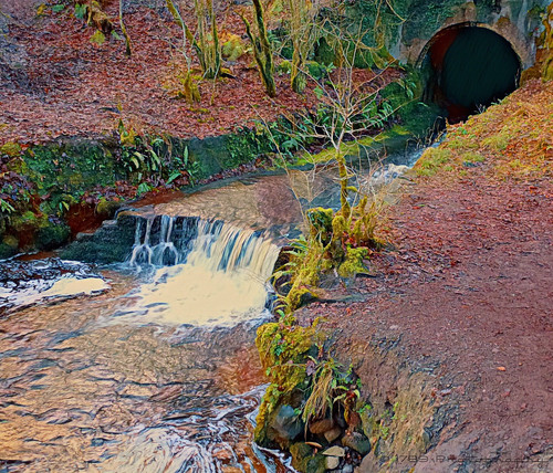 overtoun dumbarton scotland burn stream water life waterfall pool tunnel bridge nature outdoors landscape scenery wild colour vivid art artwork soil earth tree