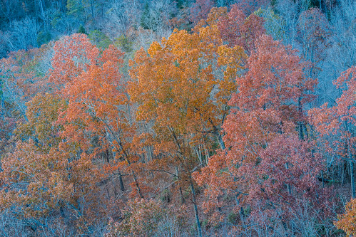appalachia easternkentucky kentucky redriver redrivergorge landscape mountains autumnfoliage autumn fallfoliage