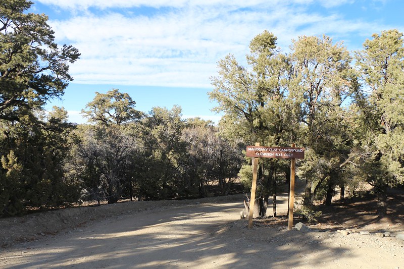 Mahogany Flat Campground sign - elevation 8133 feet