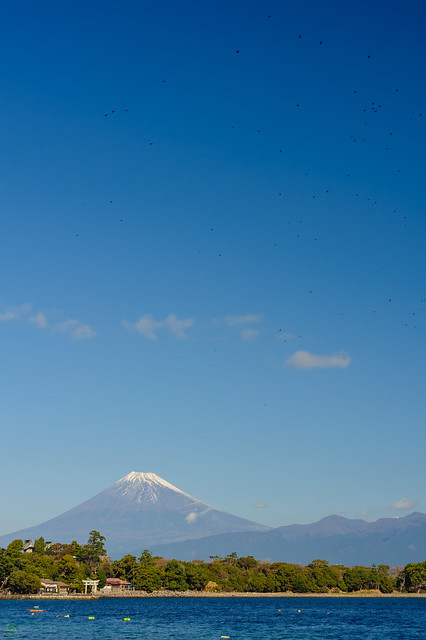 flickr d3_plus