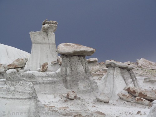 More rock formations in the Valley of Dreams East, Ah-Shi-Sle-Pah Wilderness, New Mexico