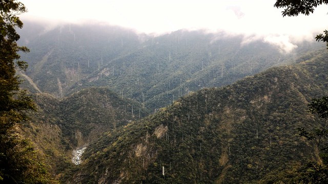 Walami Trail - Yushan National Park - near Yuli, Taiwan