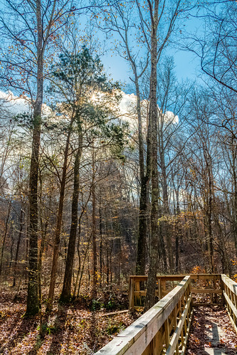 fairview fall hdr hiking landscape nature sonya6500 sonyimages tennessee usa unitedstates valleygreenestates outdoors exif:isospeed=400 camera:make=sony exif:lens=epz18105mmf4goss exif:make=sony geo:country=unitedstates geo:city=fairview exif:focallength=18mm geo:state=tennessee geo:location=valleygreenestates exif:aperture=ƒ95 geo:lon=87155415 geo:lat=35975825 camera:model=ilce6500 exif:model=ilce6500