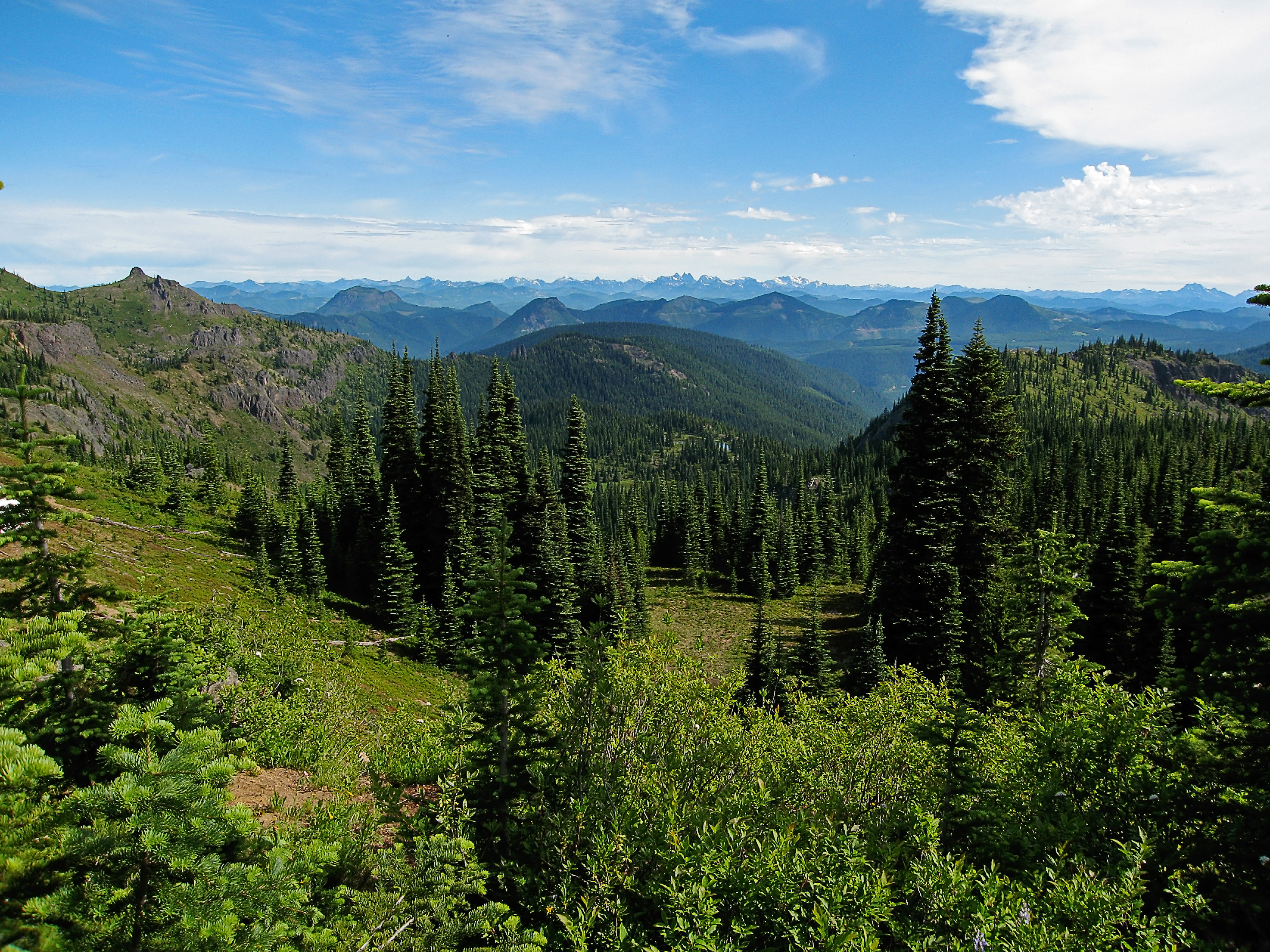 Mount Baker-Snoqualmie National Forest, Washington State. Photo taken on July 9, 2008.
